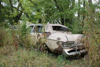 <p>Hiding in the undergrowth is a rare, and rather tatty, Lincoln Versailles.</p><p>These midsize luxury cars, which were basically posh <strong>Granadas</strong>, were only offered between 1977 and 1980. They weren’t particularly popular and were consistently outsold by their Cadillac Seville rivals at a rate of three to one. This is a 1980 example, the rarest of the lot, and one of just <strong>4785</strong> built.</p>