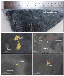 Microphotographs of gold grains in the high-grade gold bearing quartz breccia grading at 110.7 g/t gold (0.16 m true width) in BWN023 at 223.77 m depth.