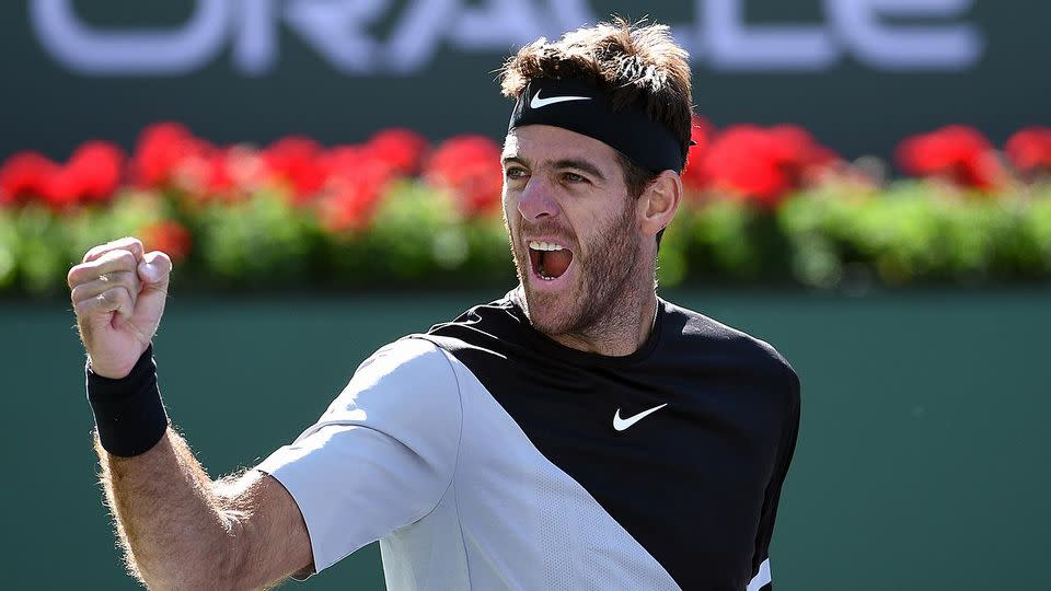 Del Potro was ruthless in his win over Raonic. Pic: Getty