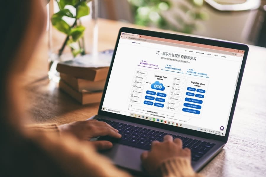 紅門互動_Eagleeye CDP 數據平台 圖/紅門互動 提供