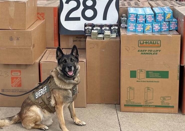 A K-9 for the Wise County Sheriff's Office in Texas who discovered an estimated $1.7 million worth of marijuana and candy bars laced with psychedelic mushrooms during a traffic stop. Jan. 21, 2023.  / Credit: Wise County Sheriff's Office/Facebook