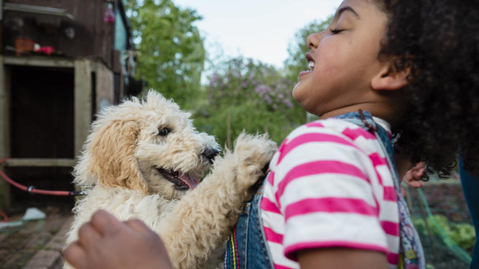 Dog jumping up at girl