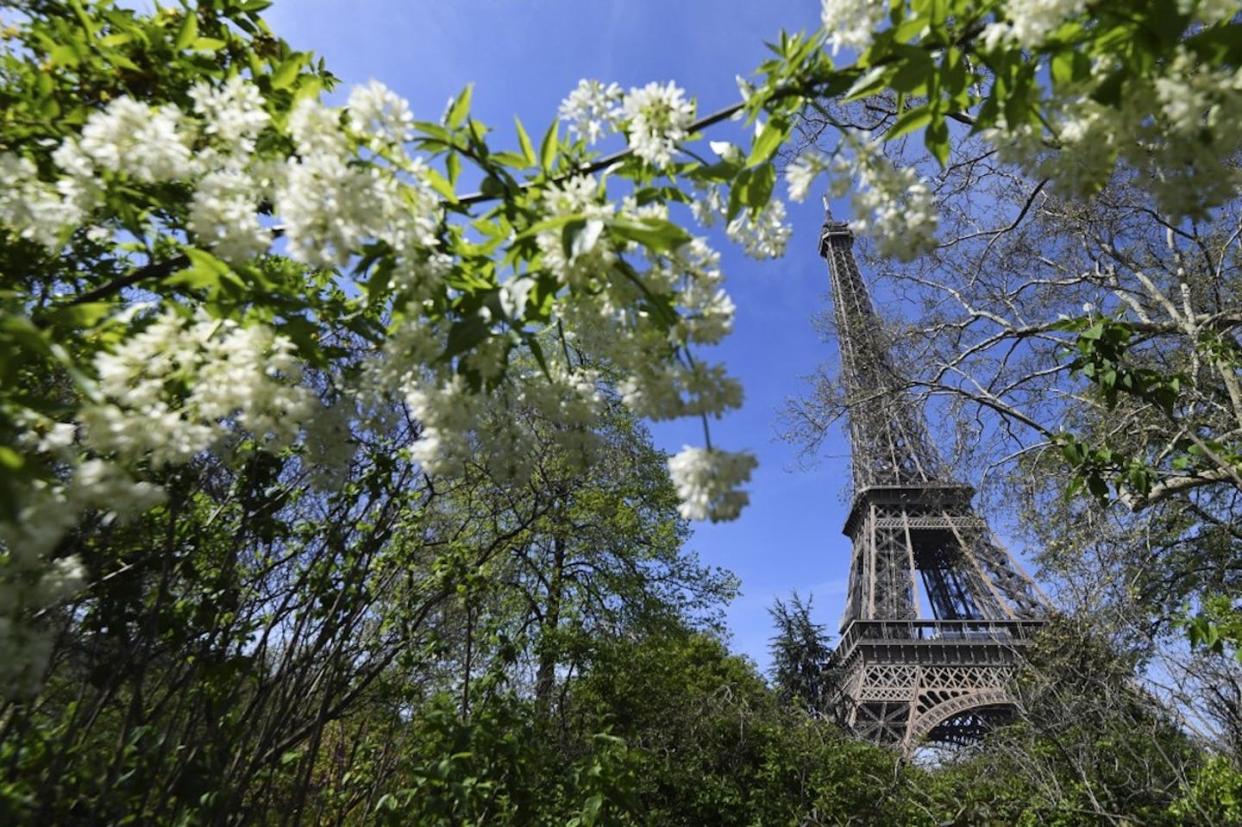 <span>Trees bloom on a balmy spring day in Paris. </span> <span><span>Alain Jocard/AFP</span></span>