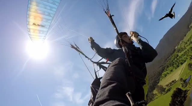 A magpie has been filmed repeatedly swooping a paraglider in Victoria. Photo: