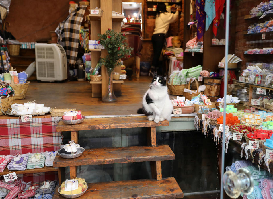 <p>A cat sits inside a shop on Jan. 17, 2018. (Photo: Goran Tomasevic/Reuters) </p>