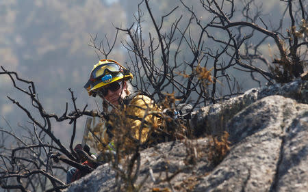 Firefighter from Asha Whipple from the Woodland Fire Department waits for water to extinguish hotspots during the Soberanes Fire in the mountains above Carmel Highlands, California, U.S. July 28, 2016. REUTERS/Michael Fiala