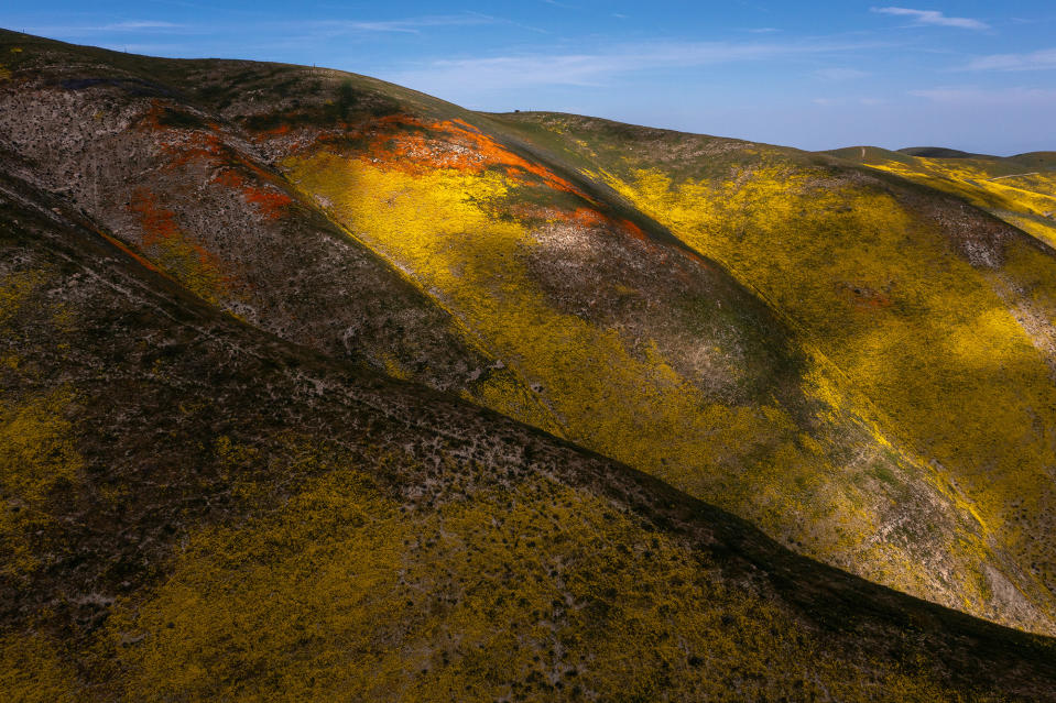 The Temblor Range on April 15, 2023