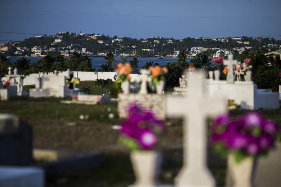 View of the sea from a cemetery in Vieques.&nbsp; (Photo: Dennis M. Rivera Pichardo for HuffPost)