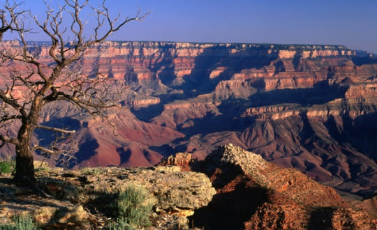 The Grand Canyon