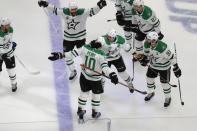 NHL: Stanley Cup Final-Dallas Stars at Tampa Bay Lightning