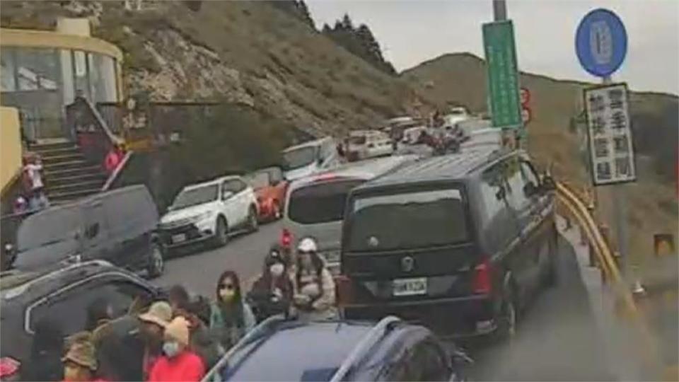 上千車擠爆合歡山！　搶看高山杜鵑亂象多