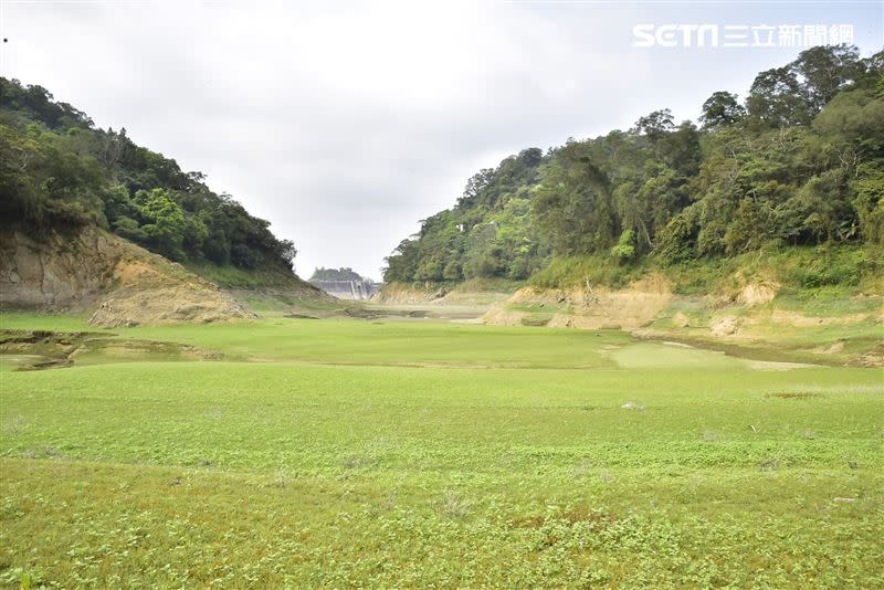 石門水庫「仙島草原」浮出來，水庫沒有水。（圖／黃正安授權使用）