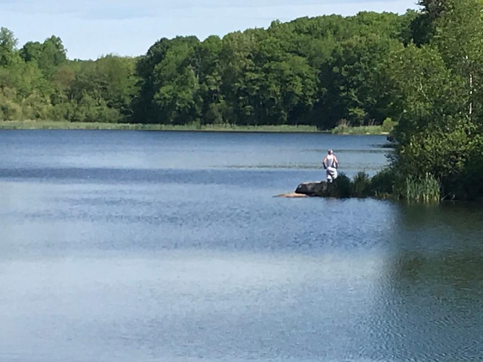 The eastern shore of the Upper Curran Reservoir is heavily vegetated, with openings for good fishing spots, at John L. Curran State Park in Cranston.