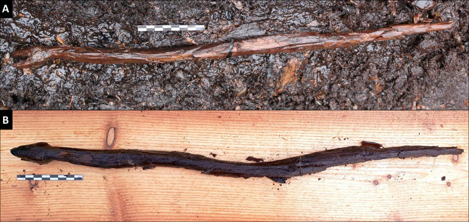 This 4000-year-old wooden carving of a snake was likely used as a staff by a Neolithic Shaman. (Satu Koivisto)