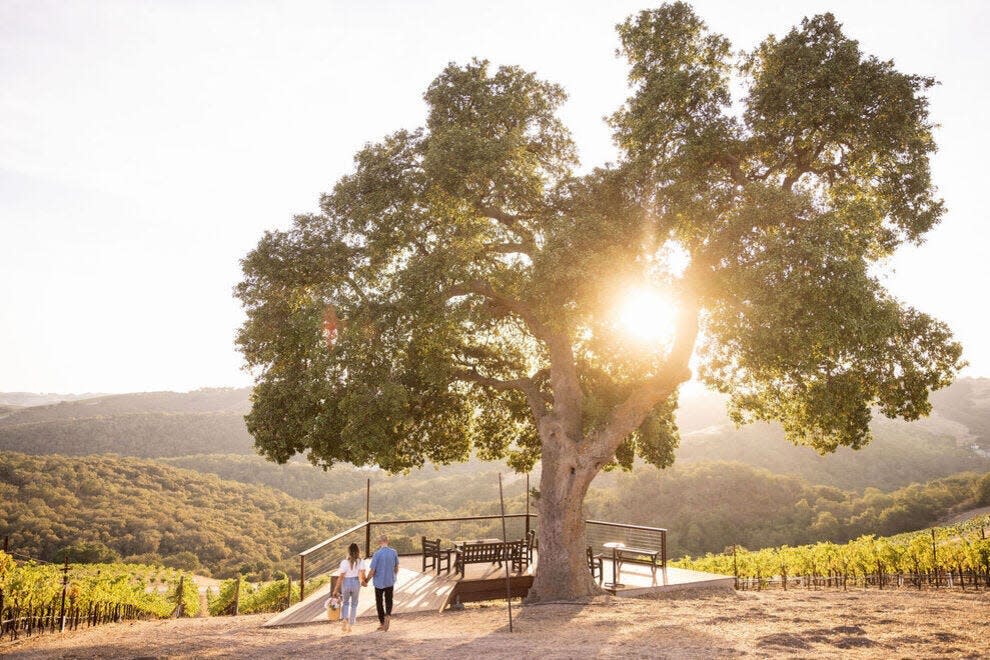 Our readers say Paso Robles is the best wine region in the United States