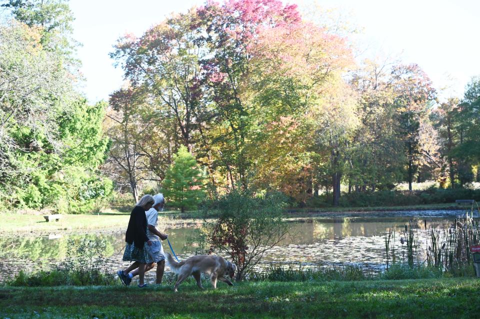 Foliage at the Governor Oliver Ames Estate Community Park in Easton on Thursday, Oct. 14, 2021.