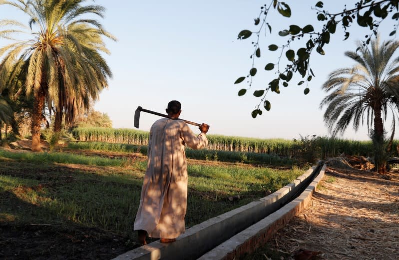 A farmer walks on top of an irrigation channel developed by a government project in Comer village in Esna, south of Luxor
