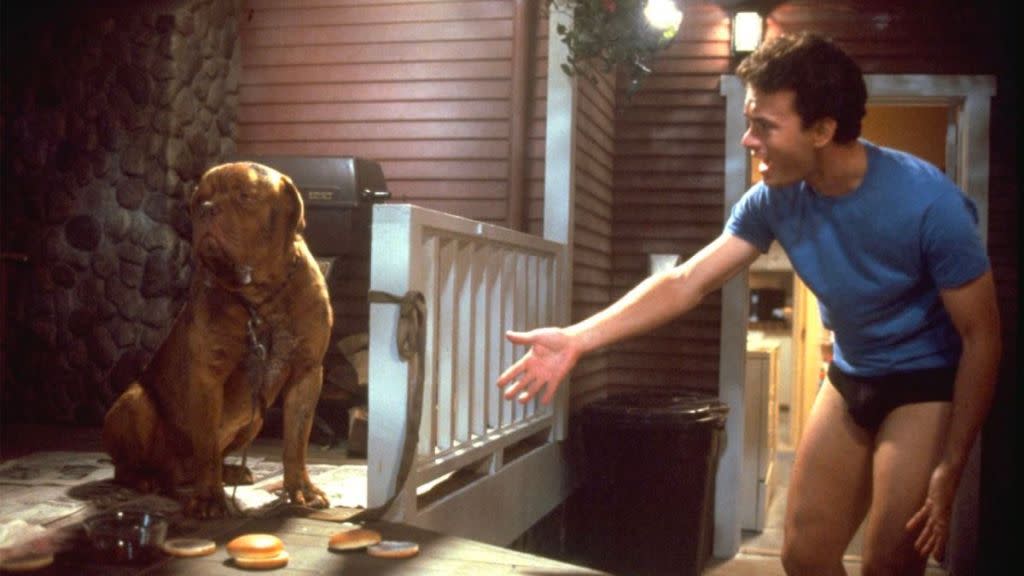 Turner & Hooch