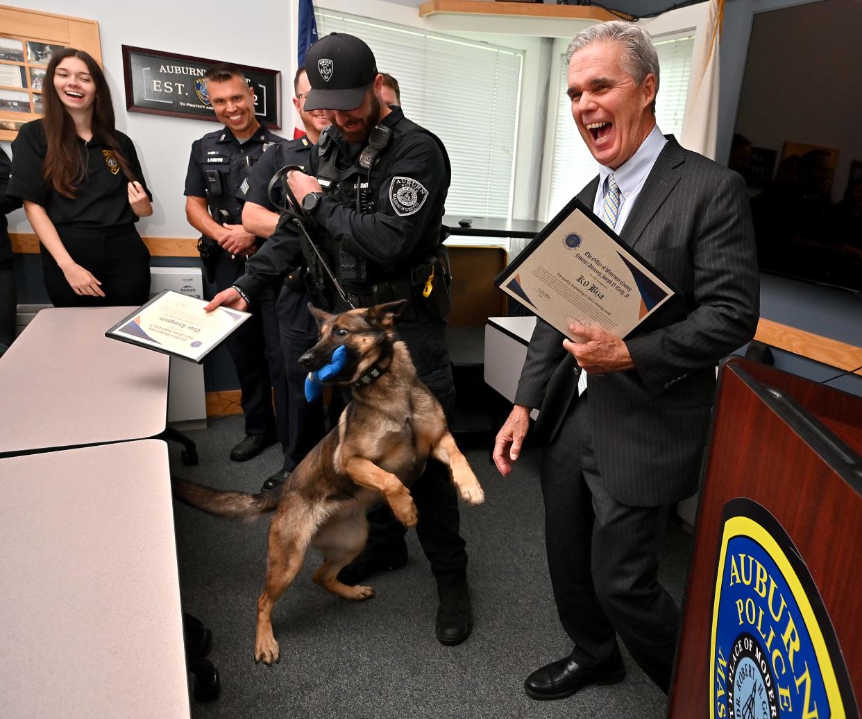 Worcester County District Attorney Joseph D. Early Jr. laughs after K9 Biza jumped up for her toy as she and her partner, Auburn police Officer Dave Ljunggren, received their awards Thursday in Auburn.