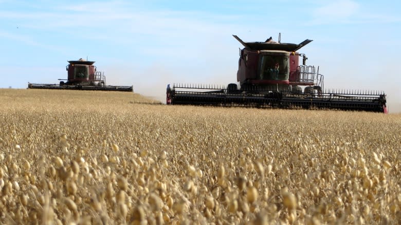 After dry summer, some Sask. farmers surprised by quality of early harvest