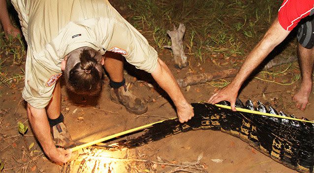 NT Parks and Wildlife said the creature measured 4.1 metres long. Photo: Supplied