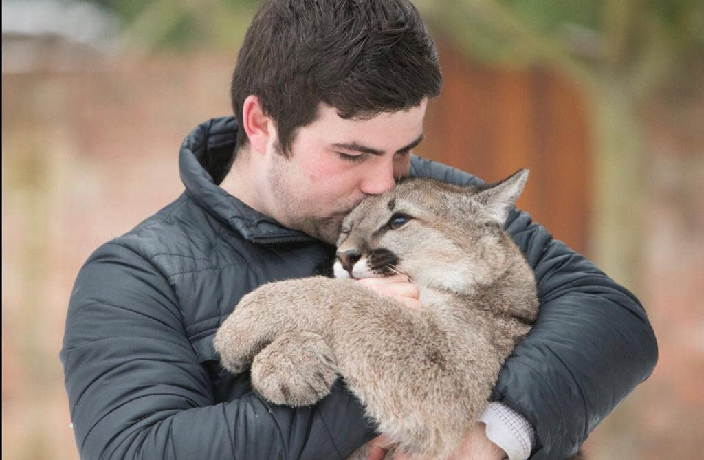 Reece Oliver rescued two big cats from a circus in eastern Europe and wants to keep them in a big cat enclosure - along with a puma he already owns. (SWNS)