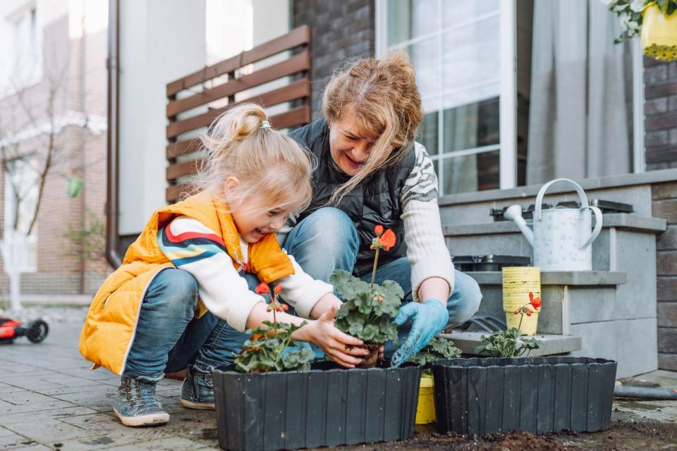 grandmother with little granddaughter potting flowers on a porch in spring