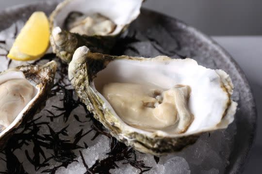 live-irish-oysters-nude seafood