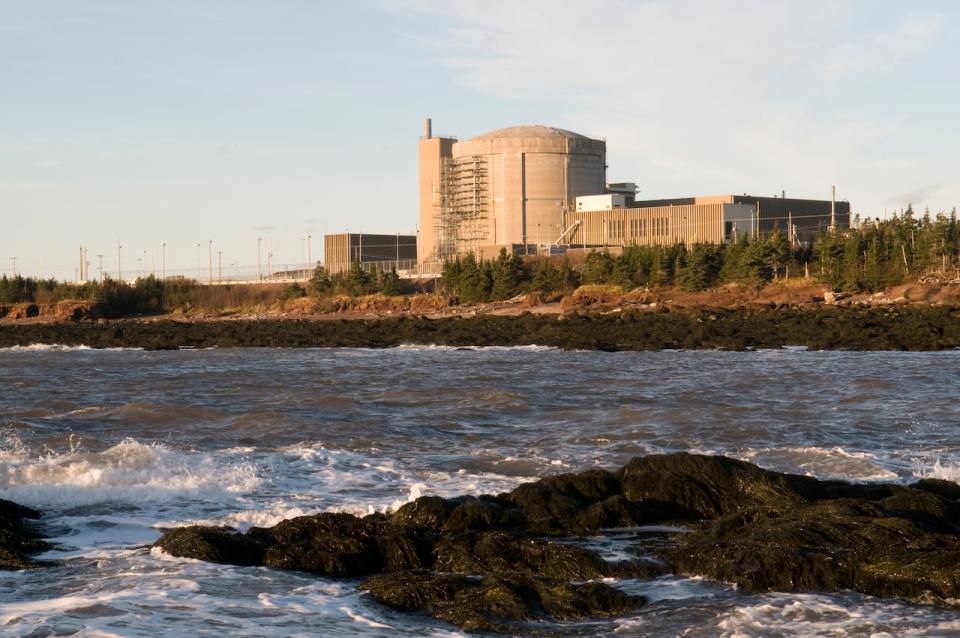 The Point Lepreau nuclear generating station appeared to have its reliability issues resolved in the last two years, but a surprise problem nearly two weeks ago shut it down once more.