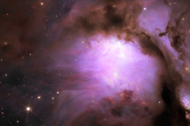 A close-up of the stellar nursery Messier 78. - Image: ESA/Euclid/Euclid Consortium/NASA, image processing by J.-C. Cuillandre (CEA Paris-Saclay), G. Anselmi; CC BY-SA 3.0 IGO or ESA Standard Licence.