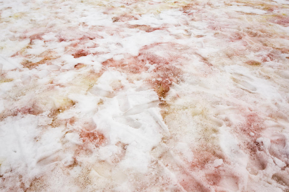 Pinker Schnee bei einer Forschungsstation in der Antarktis zu sehen. (Symbolbild: Getty)