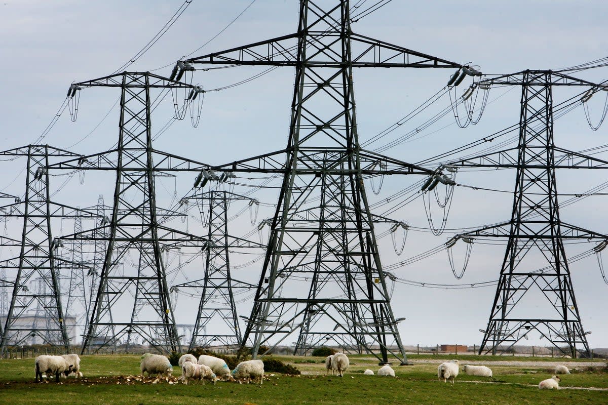 Power grids have to balance supply and demand at all times (PA) (PA Archive)