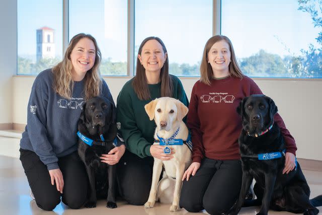 <p>Memorial Hermann</p> The facility dogs of Children's Memorial Hermann Hospital with their handlers