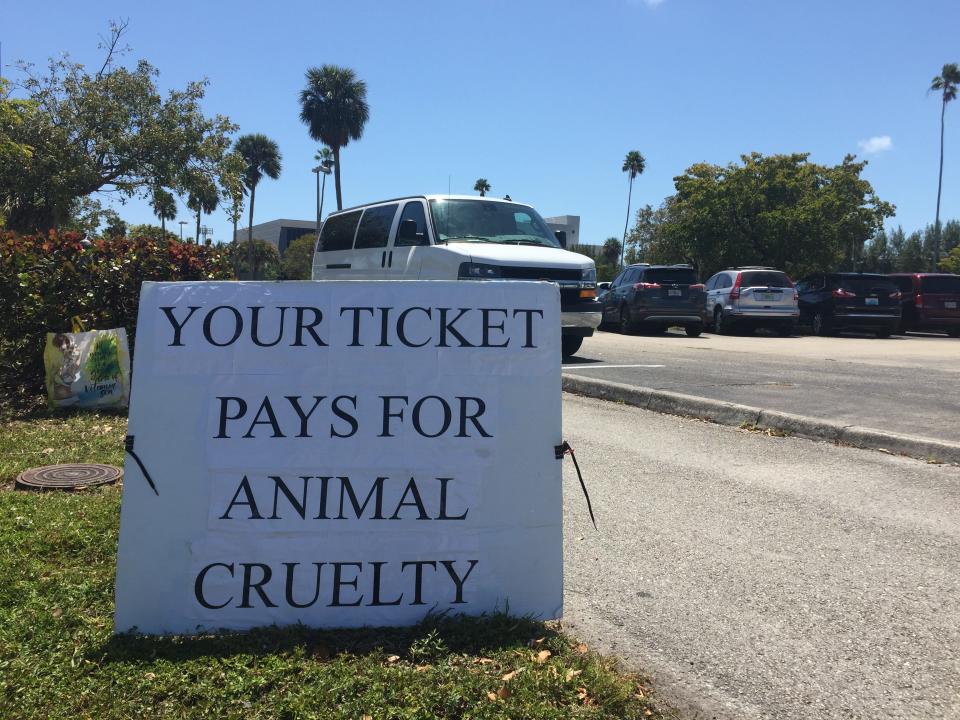 Animal rights activists want the public to stay away from Miami Seaquarium in a bid to pressure the marine park to release Lolita after 51 years of captivity. ANTONIO FINS/palmbeachpost.com
