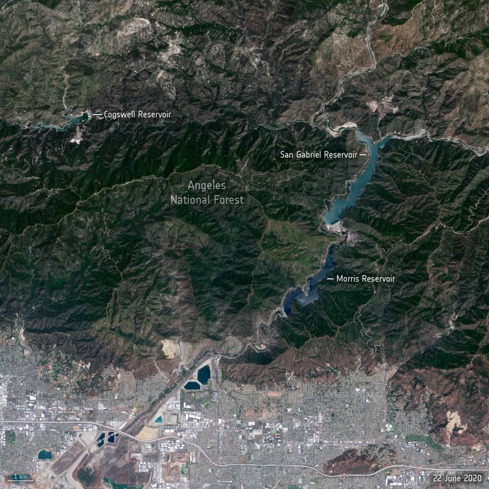 El Bosque Nacional de Ángeles y la presa San Gabriel, al noreste de Los Ángeles. Zonas verdes boscosas se aprecian en una foto satelital que la Agencia Espacial Europea (ESA) captó en junio de 2020. (Agencia Especial Europea / ESA, CC BY-SA 3.0 IGO)