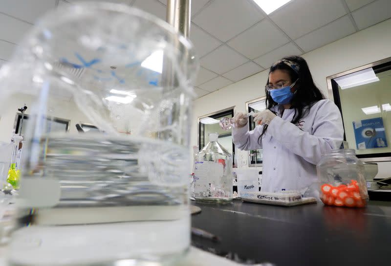 FILE PHOTO: A pharmacist doctor works on the basics of the raw materials for investigational of the coronavirus disease (COVID-19) treatment drug "Remdesivir", in Ibn Sina laboratory, at Eva Pharma Facility in Cairo