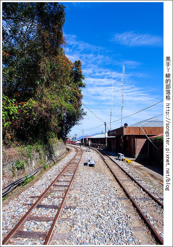 【嘉義】龍山國小 太興岩步道 交力坪車站