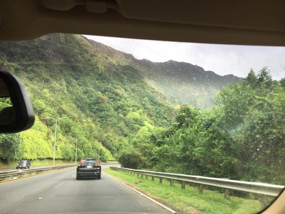 Car driving through greenery in Hawaii