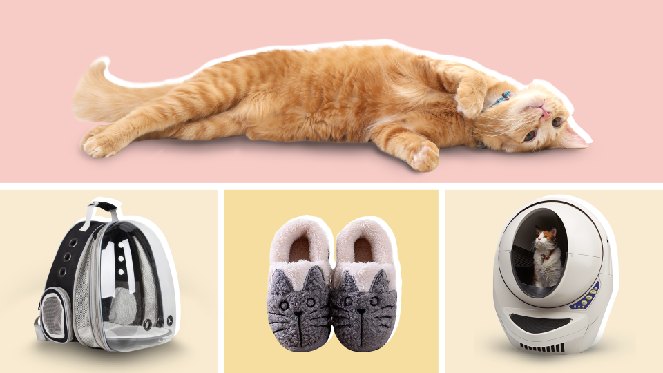 Mother's Day gifts for cat moms