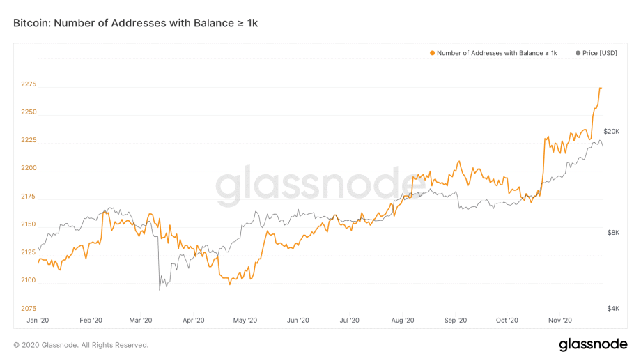 <em>Quelle <a class="link " href="https://studio.glassnode.com/metrics?a=BTC&category=Addresses&m=addresses.Min1KCount&s=1262300400&u=1606345199&zoom=" rel="nofollow noopener" target="_blank" data-ylk="slk:Glassnode;elm:context_link;itc:0;sec:content-canvas">Glassnode</a></em>