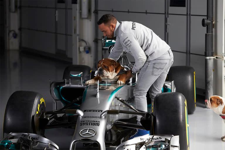 Lewis Hamilton y su perro vegano