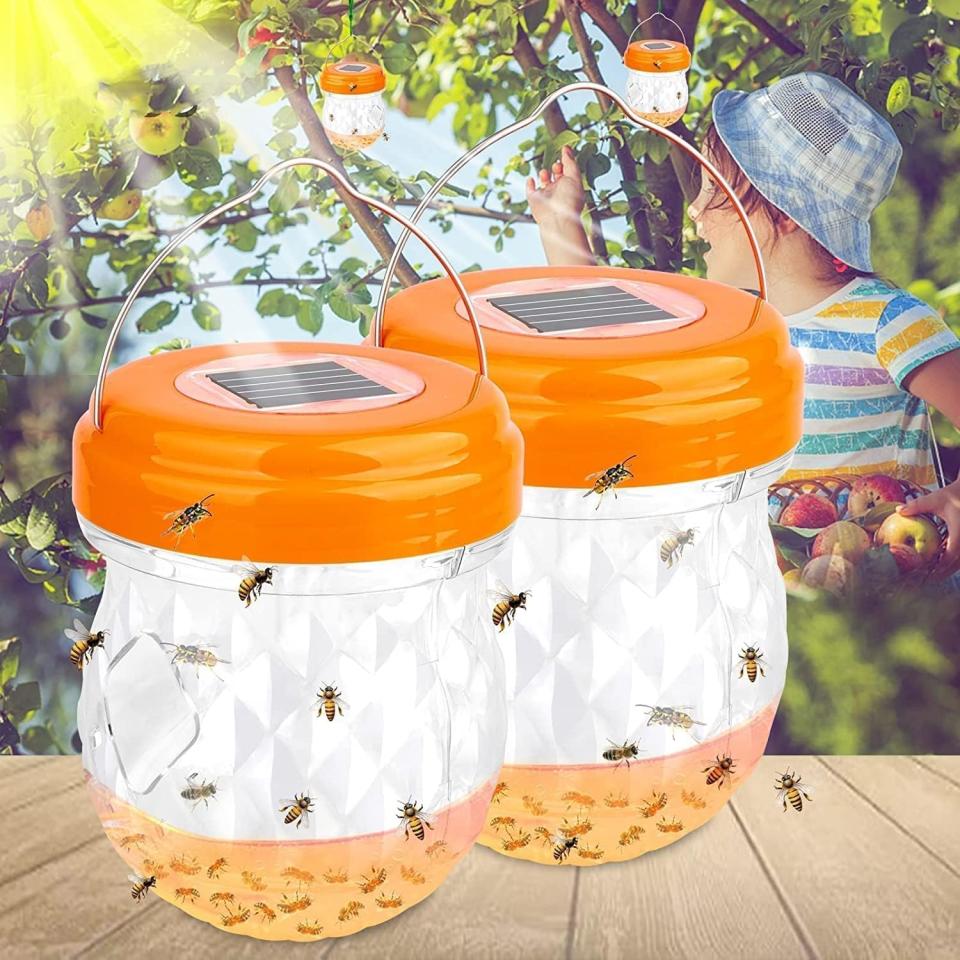 Solar-Powered Wasp Trap (Photo via Amazon)