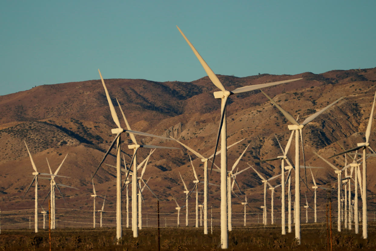 A wind farm is shown in Kern County, California in 2019.  (Mike Blake/Reuters)