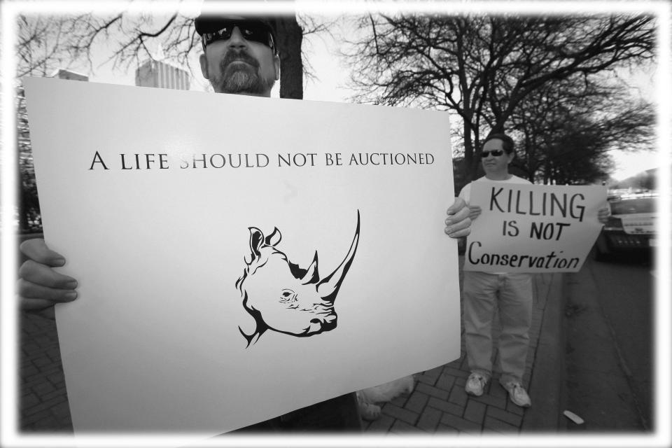 Protesters outside the Dallas Convention Center where the Dallas Safari Club is holding its weekend show and auction, where a permit to shoot an endangered black rhinoceros in Africa was up for bid, in Dallas in 2014. (Photo: Tony Gutierrez/AP; digitally enhanced by Yahoo News)