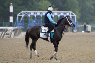 Bourbonic trains the day before the 153rd running of the Belmont Stakes horse race in Elmont, N.Y., Friday, June 4, 2021. (AP Photo/Seth Wenig)