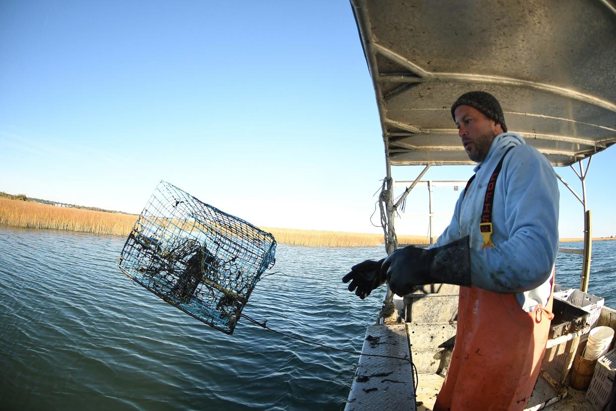 Joe Romano of Seaview Crab Co. in Wilmington throws a pot back into Masonboro Sound after emptying it of blue crabs.