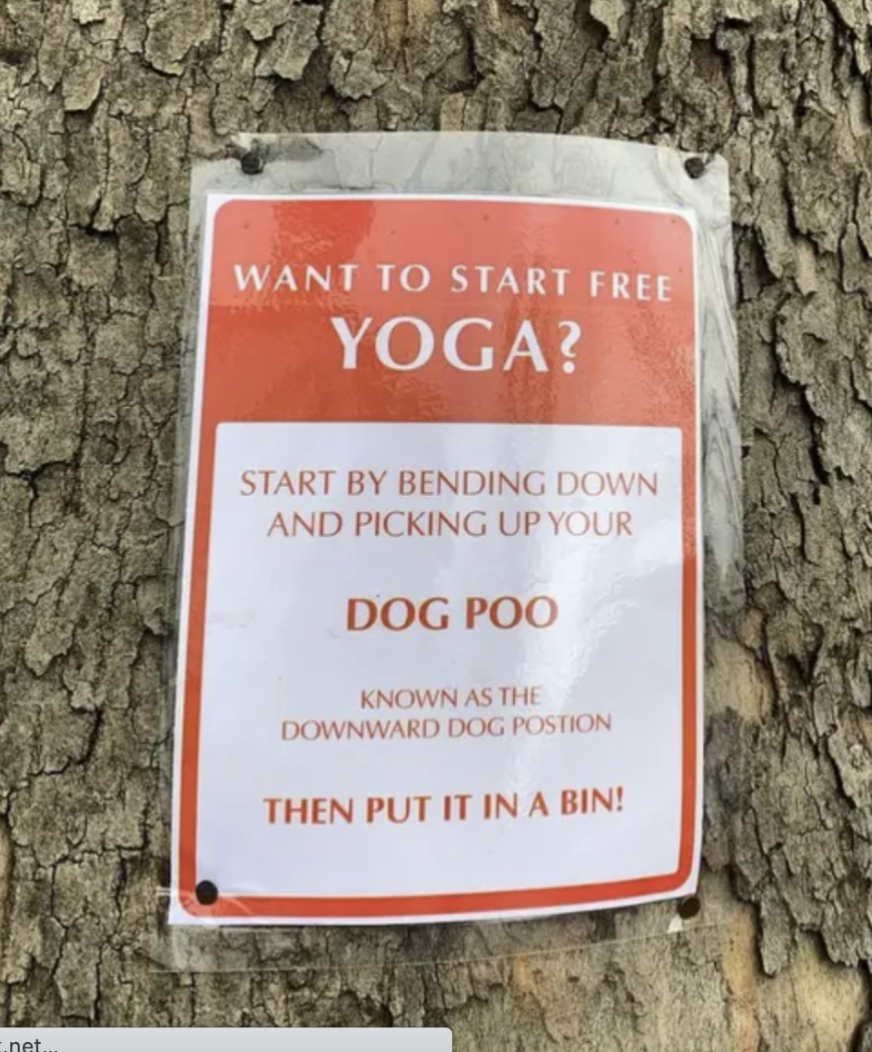 "Start by bending down and picking up your dog poo"