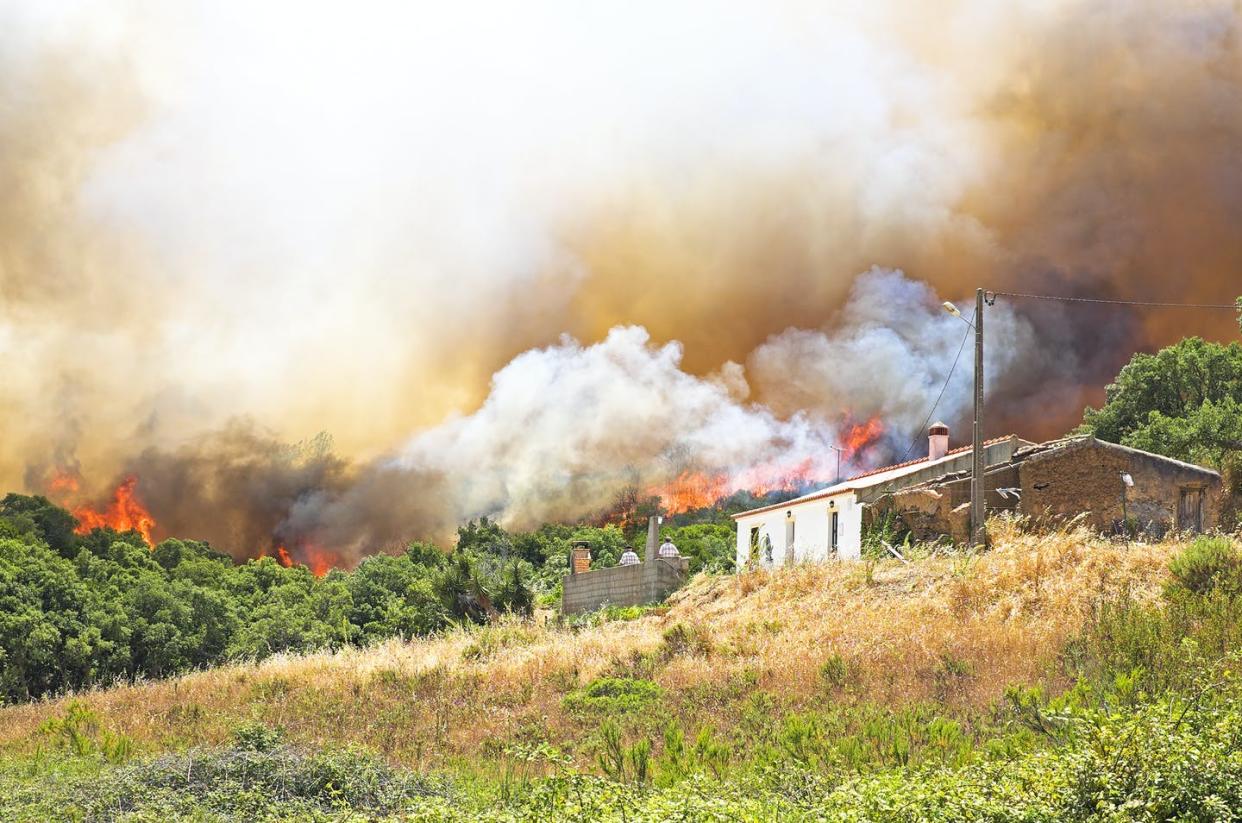 <a href="https://www.shutterstock.com/es/image-photo/huge-forest-fire-threatens-homes-portugal-145871801" rel="nofollow noopener" target="_blank" data-ylk="slk:Steve Photography / shutterstock;elm:context_link;itc:0;sec:content-canvas" class="link ">Steve Photography / shutterstock</a>