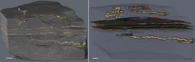 A. El Albani & A. Mazurier / IC2MP / CNRS – Université de Poitiers