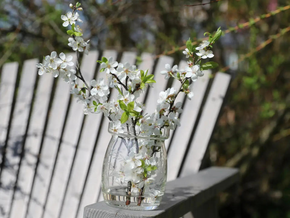 Wenn ihr draußen spazieren geht, habt ihr vielleicht das Glück, ein paar frische Wildblumen zu finden, die ihr mit nach Hause nehmen könnt. - Copyright: Shutterstock